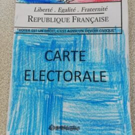 Protégé : [CE1-CE2] Le bleuet du 11 novembre – Les élections des délégués