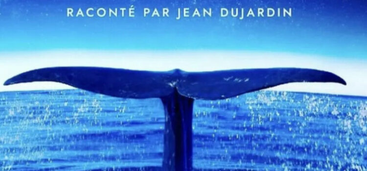 sortie ciné jeudi 6 avril 2023 pour les 4 classes élémentaires sortie ciné jeudi 6 avril 2023 pour les 4 classes élémentaires